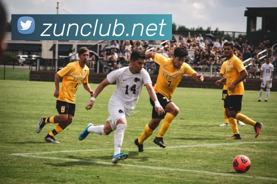 世界杯app官网平台生态图